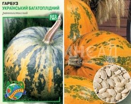Насіння Гарбуз Український багатоплідний (5г)